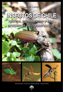 Insectos de Chile nativos, introducidos y con problemas