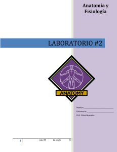 laboratorio #2