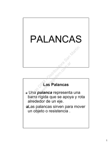 palancas - Distribuidora San Martín