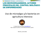 Uso de microalgas yo bacterias en agricultura