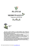 Mapuches - Plantas Medicinales usadas