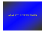 C4 APARATO RESPIRATORIO