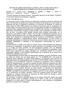 ESTUDIO DE GENES ASOCIADOS AL DAÑO AL ADN Y SU