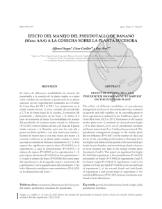 EFECTO DEL MANEJO DEL PSEUDOTALLO DE BANANO (Musa