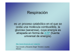 Respiración - Web del Profesor