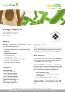 Descripción de producto