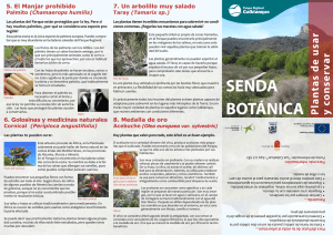 senda botánica - Murcia Natural