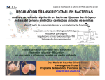 regulacion transcripcional en bacterias