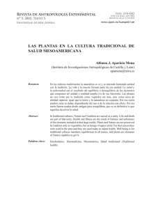 las plantas en la cultura tradicional de salud mesoamericana