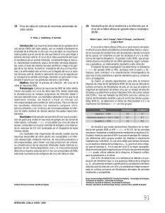 15 Virus de rabia en cultivos de neuronas sensoriales de ratón