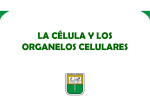 Células y organelos