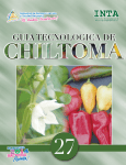 Guia Chiltoma 2014