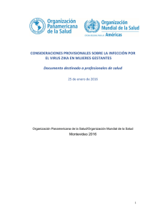 CONSIDERACIONES PROVISIONALES SOBRE LA