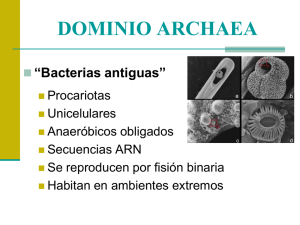 Dominio Archaea