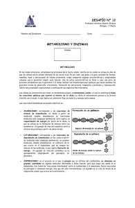 1° - Desafío 12 - Metabolismo y enzimas - Bio