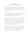 Capítulo 7. Conclusiones y recomendaciones (archivo pdf, 41 kb)