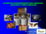 PRINCIPIOS DE NUTRICION ANIMAL