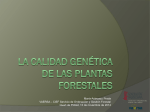 La calidad genética de las plantas forestales