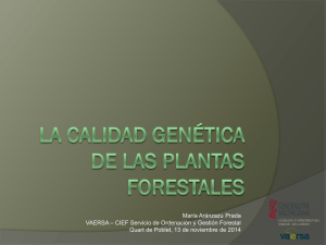 La calidad genética de las plantas forestales