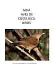 Guía de aves de Costa Rica
