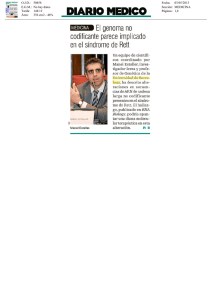 El genoma no codificante parece implicado en el