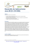 Desarrollo de Aplicaciones Java EE (FJ-310-EE5)