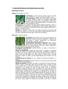 Clase 7 Características de Cultivos