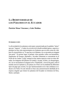 la biodiversidad de los páramos en el ecuador