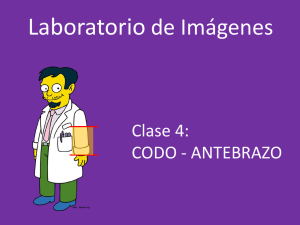 Lab. Imagenes. Clase 4 - Brazo. Codo. Antebrazo Anatomia