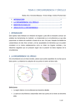 TEMA 5: CIRCUNFERENCIA Y CÍRCULO