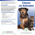 Cancer In Animals (Spanish) - American Veterinary Medical