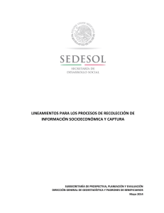 lineamientos para los procesos de recolecci&oacute;n de informaci&oacute;n
