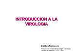 Introducción a la Virología 2011