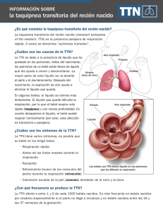 la taquipnea transitoria del recién nacido - nicu-pet