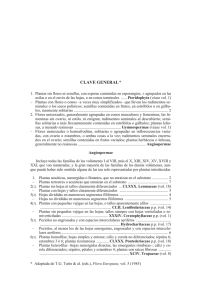 Clave Dicotómica de las Principales Familias