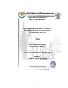 (Cucurbita spp.) MEXICANAS COMO FUENTE DE RESISTENCIA