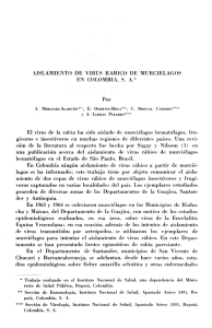 AISLAMIENTO DE VIRUS RABICO DE MURCIELAGOS EN