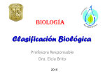 Clasificación Biológica