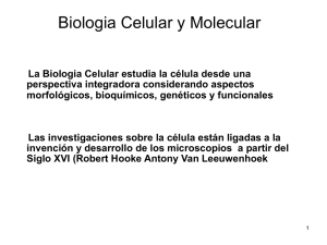 Teorico 2 (La Celula. Procariotas y Eucariotas)