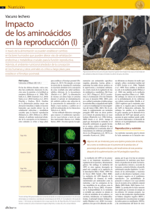 Impacto de los aminoácidos en la reproducción (I)