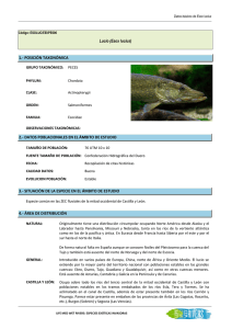 Lucio (Esox lucius) - Proyecto LIFE MedWetRivers