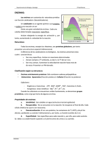 ENZIMAS: