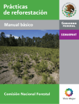 Prácticas de reforestación - Comisión Nacional Forestal