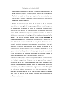 Fisiolog&iacute;a de la Hembra Unidad 3 1. Identifique los