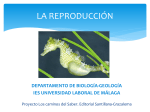 La reproducción - Universidad Laboral de Málaga