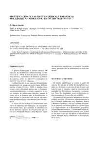 Identificación de las especies ibéricas y baleáricas del género