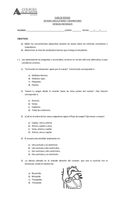 guía de repaso sistema circulatorio y respiratorio ciencias naturales