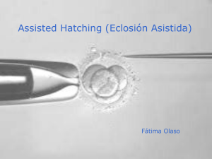 1. Desarrollo embrionario temprano. Hatching