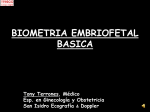 biometria embriofetal basica - Sied
