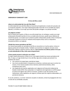 El virus del Zika y usted